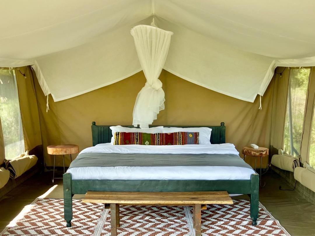 Kambu Mara Camp Hotel Sekenani Bilik gambar