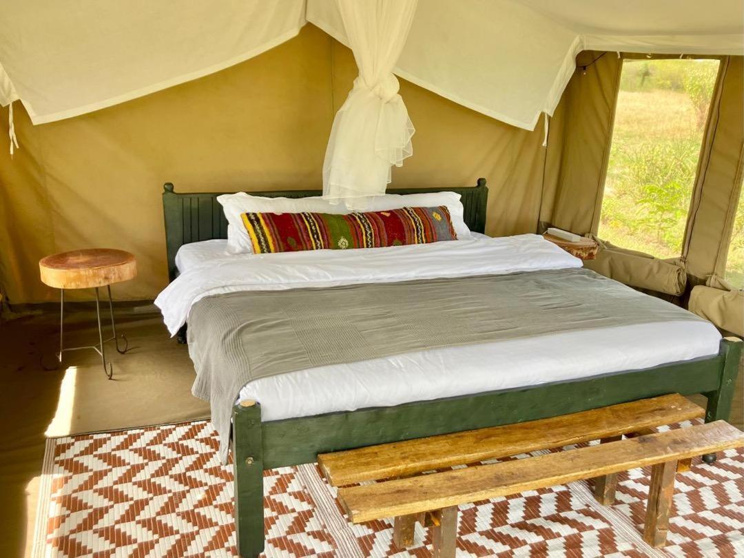 Kambu Mara Camp Hotel Sekenani Bilik gambar