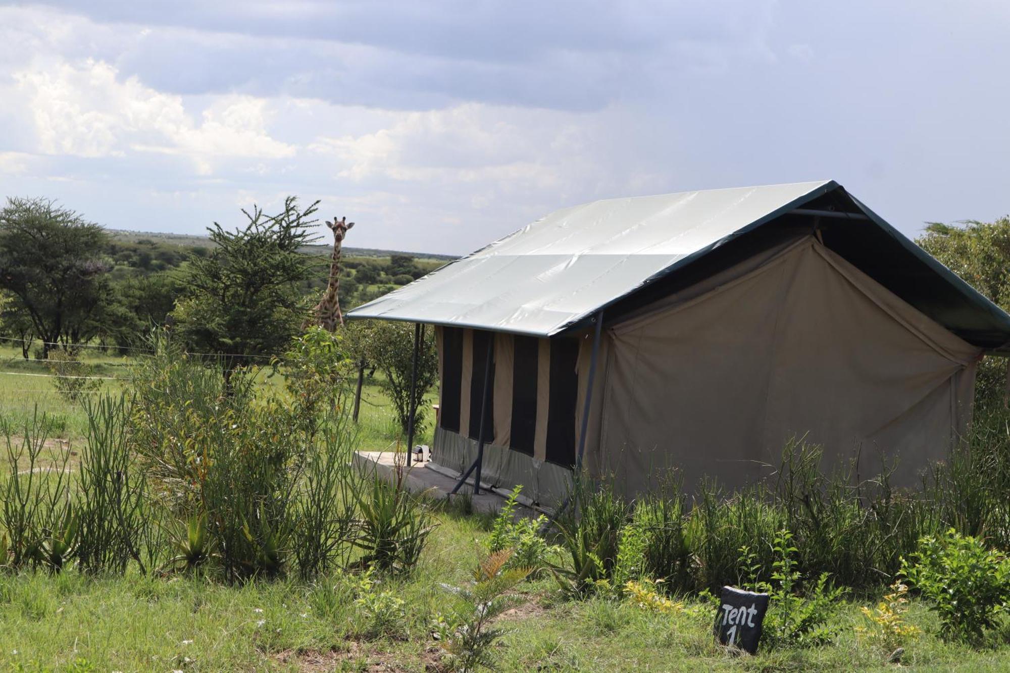 Kambu Mara Camp Hotel Sekenani Luaran gambar